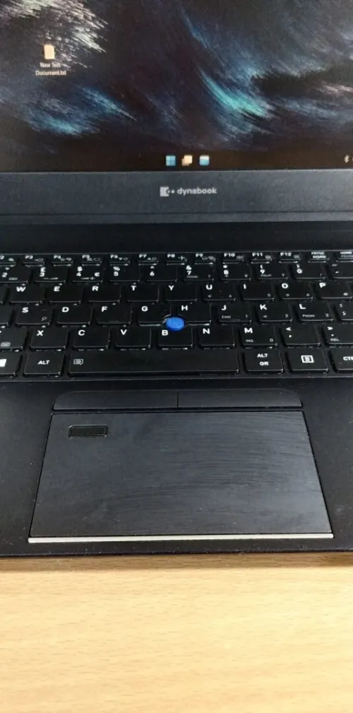 Dynabook