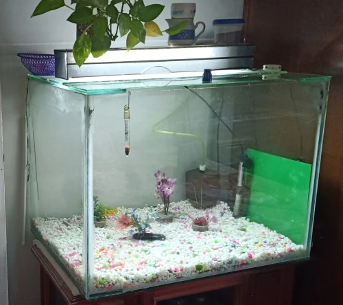 aquariums