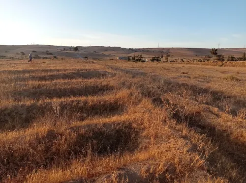 Vente Terrain Oran El Kerma
