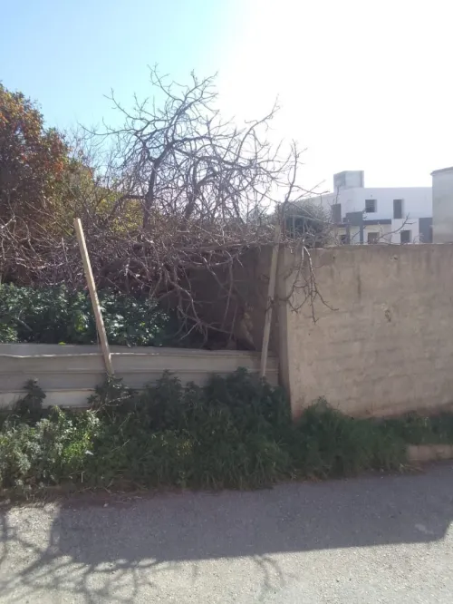 Vente Terrain Alger Bouzareah