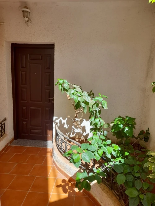 Location Villa Alger Zeralda