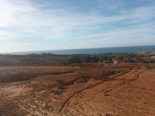 Vente Terrain Mostaganem Mostaganem