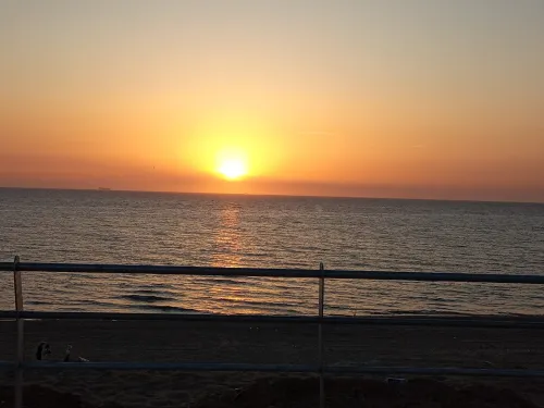 Vente Terrain Mostaganem Mostaganem