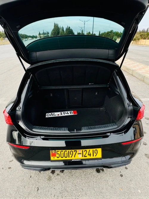 Cupra  Leon 2024 