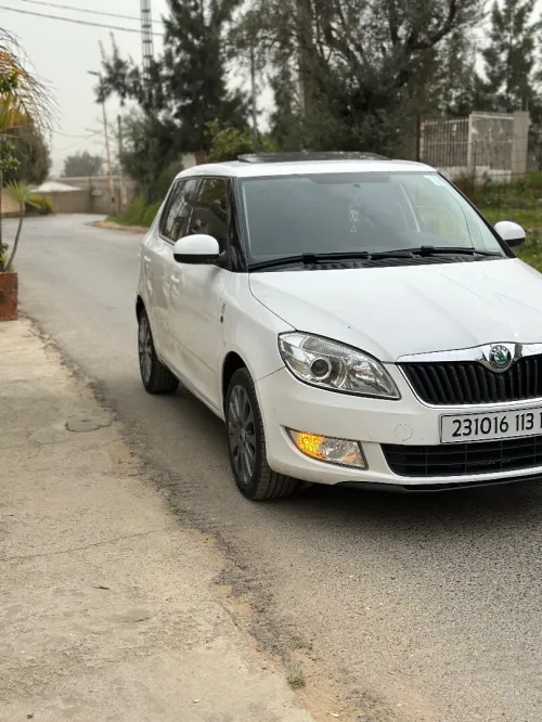 Skoda Fabia 2013 Setyl