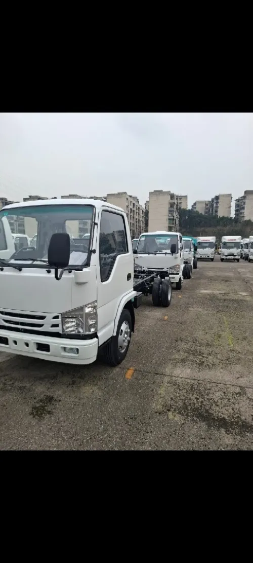 Isuzu Nkr, Npr 71, Ftr, Fvr 2025