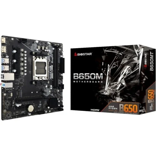 CARTE MERE BIOSTAR B650M