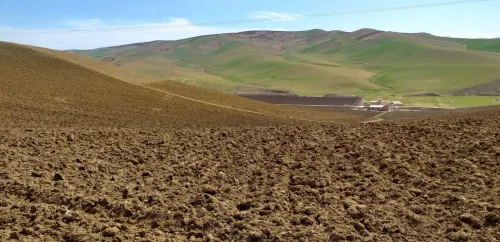 Vente Terrain Agricole Médéa Tlatet eddouair