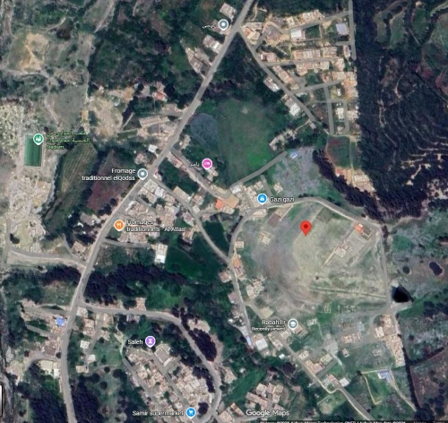 Vente Terrain Blida Hammam melouane