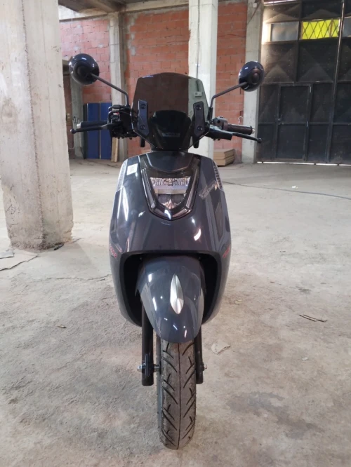 Vms Gemma 2025