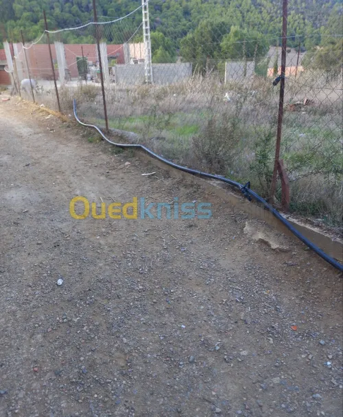 Vente Terrain Tipaza Cherchell