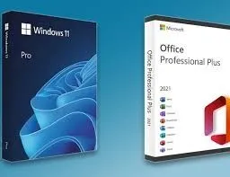 Produit Microsoft Windows et office Proplus, 365 , OneDrive, outlook Pro