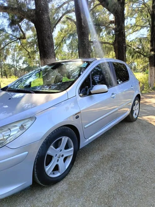 Peugeot 307 2007 Oxygo