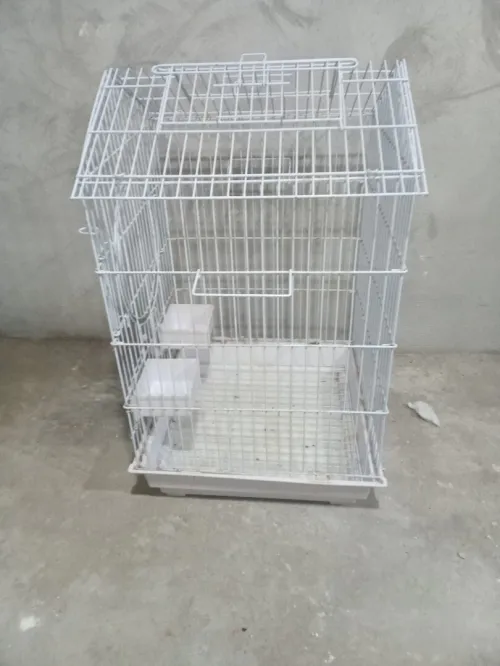 Cage perroquet gabonais