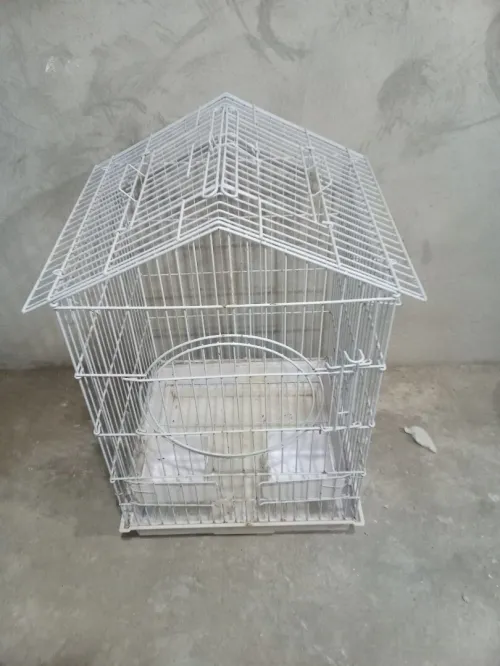 Cage perroquet gabonais