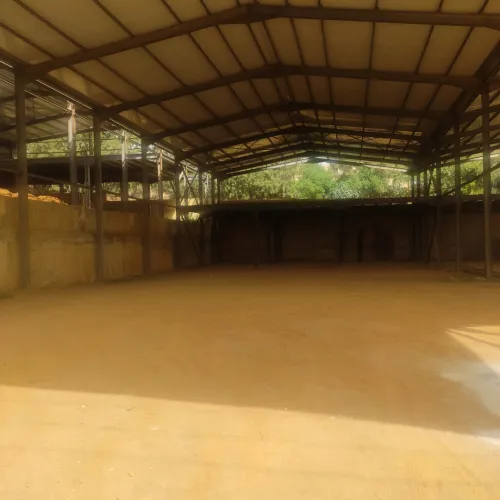 Location Hangar Alger Douera