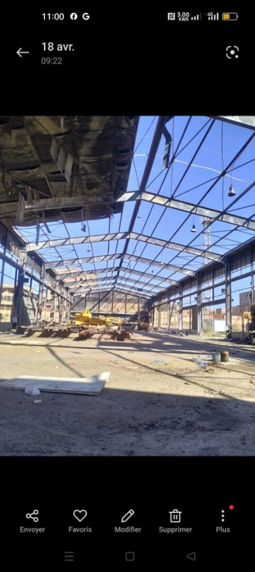 Vente Hangar - Usine Laghouat Laghouat 2