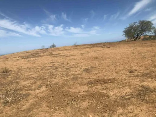 Vente Terrain Agricole Tlemcen Nedroma