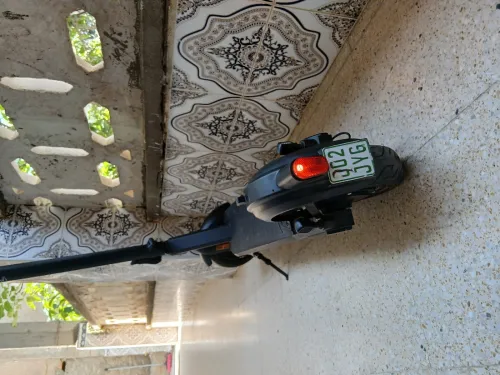 Trottinet électrique