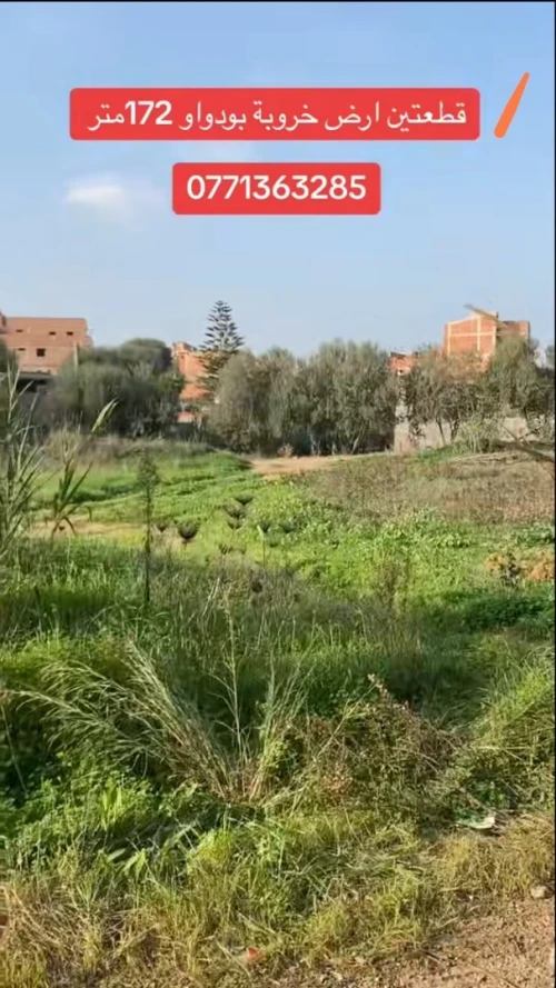 Vente Terrain Boumerdès El kharrouba