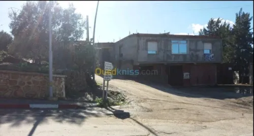 Vente Terrain Blida Meftah