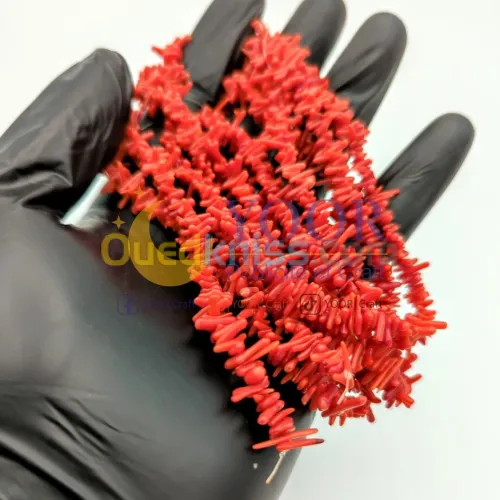 faux corail pm مرجان اصطناعي ح ص