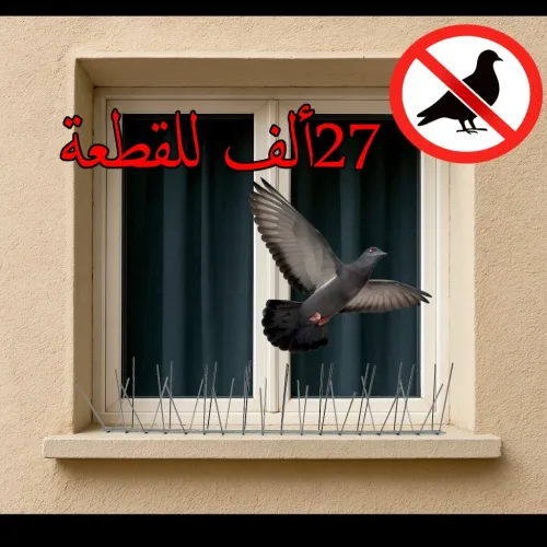 Pic Anti Pigeon اشواك مضادة للحمام