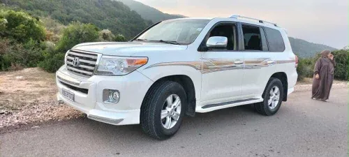Toyota Land Cruiser 2010 Land Cruiser