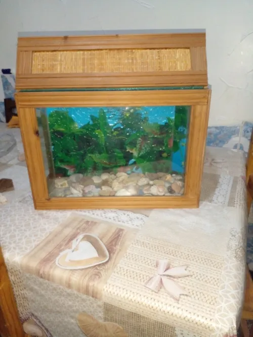 DEUX AQUARIUMS BON PRIX