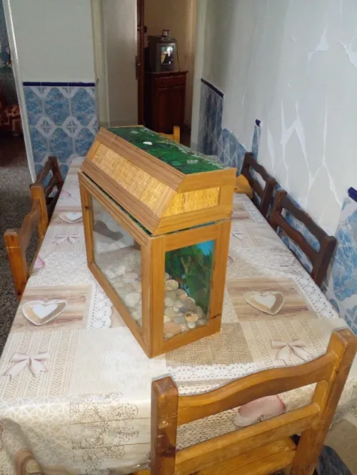 DEUX AQUARIUMS BON PRIX