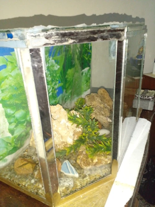 DEUX AQUARIUMS BON PRIX