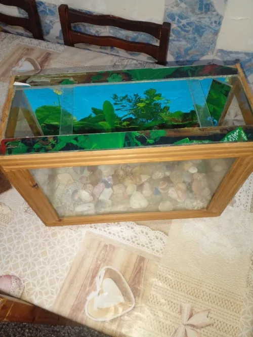 DEUX AQUARIUMS BON PRIX