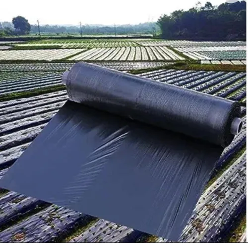 Paillage et tunnel agricole 
