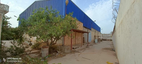 Vente Hangar - Usine Oran Hassi ben okba