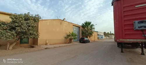 Vente Hangar - Usine Oran Hassi ben okba