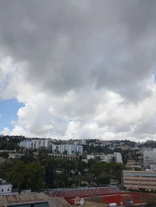 Location Appartement F2 Alger Alger centre