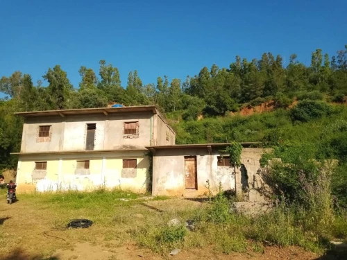 Vente Terrain Blida Chiffa