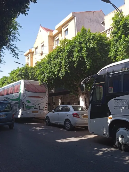 Vente Immeuble Aïn Témouchent Ain el arbaa