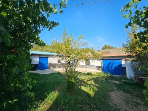 Location Local Skikda Oued zehour