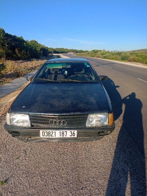 Audi 100 1987 100