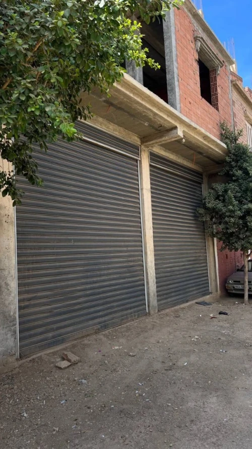Vente Villa Aïn Defla Djelida