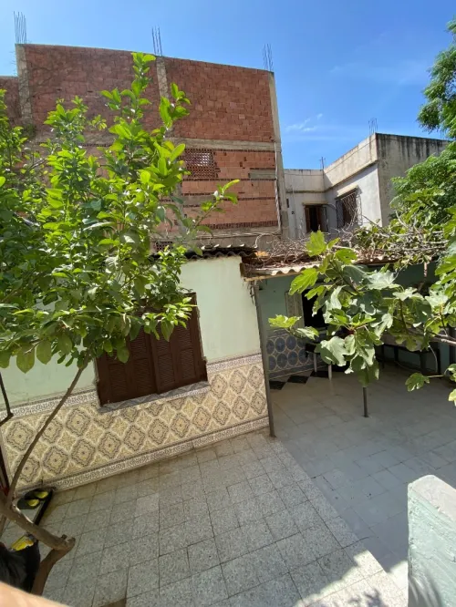 Vente Terrain Chlef Chlef