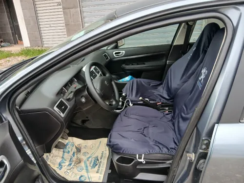 Peugeot 307 2007 307