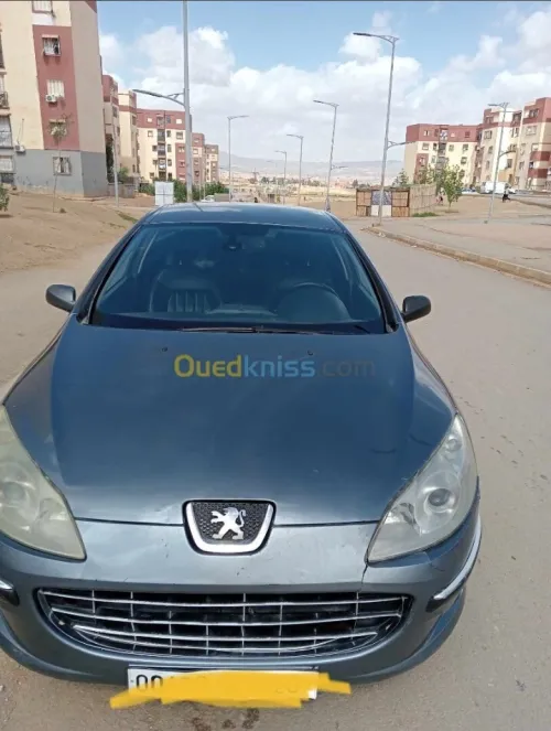 Peugeot 407 2006 407