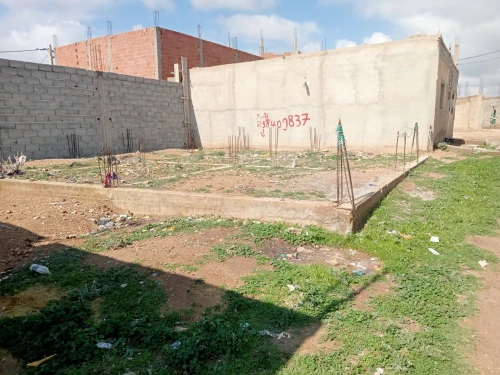 Vente Terrain Tébessa Bir el mokadem