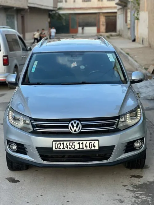 Volkswagen Tiguan 2014 Cup