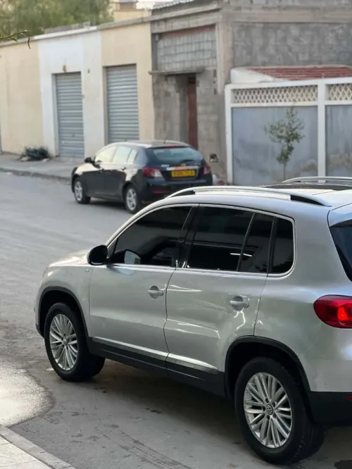 Volkswagen Tiguan 2014 Cup