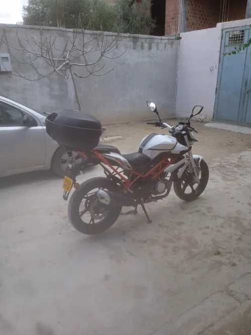 BENILLI VMS 2022