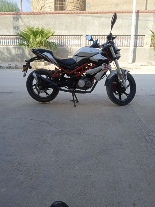 BENILLI VMS 2022