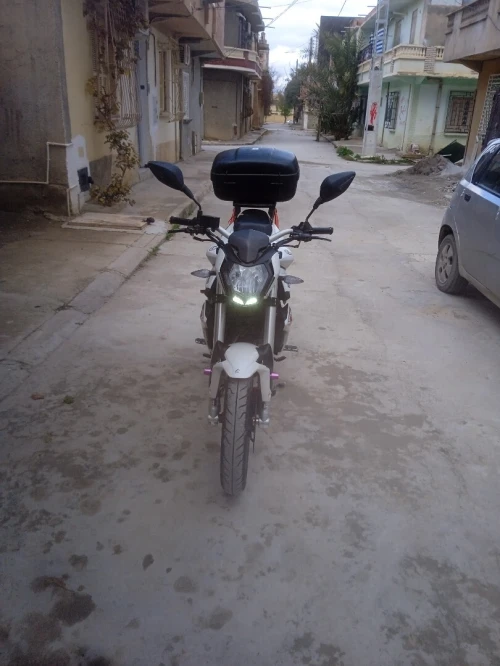 BENILLI VMS 2022